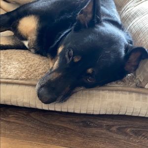 Meet your Posher, Marissa